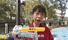 陈女士爱狗人士最新爆料